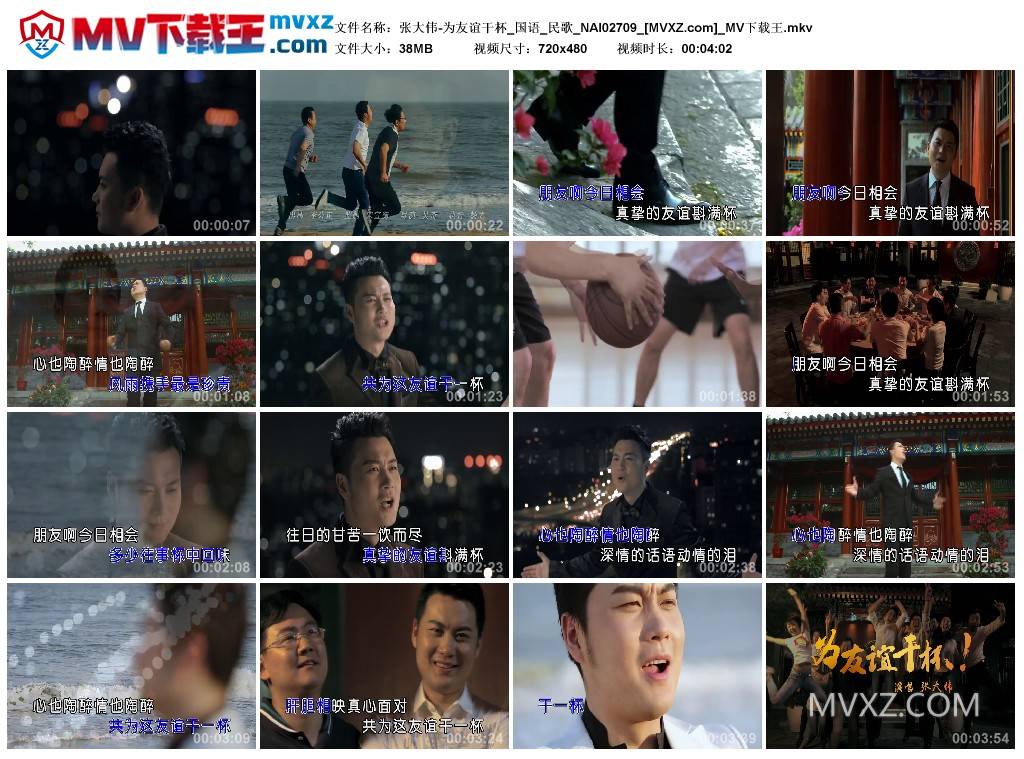 张大伟-为友谊干杯_国语_民歌_NAI02709